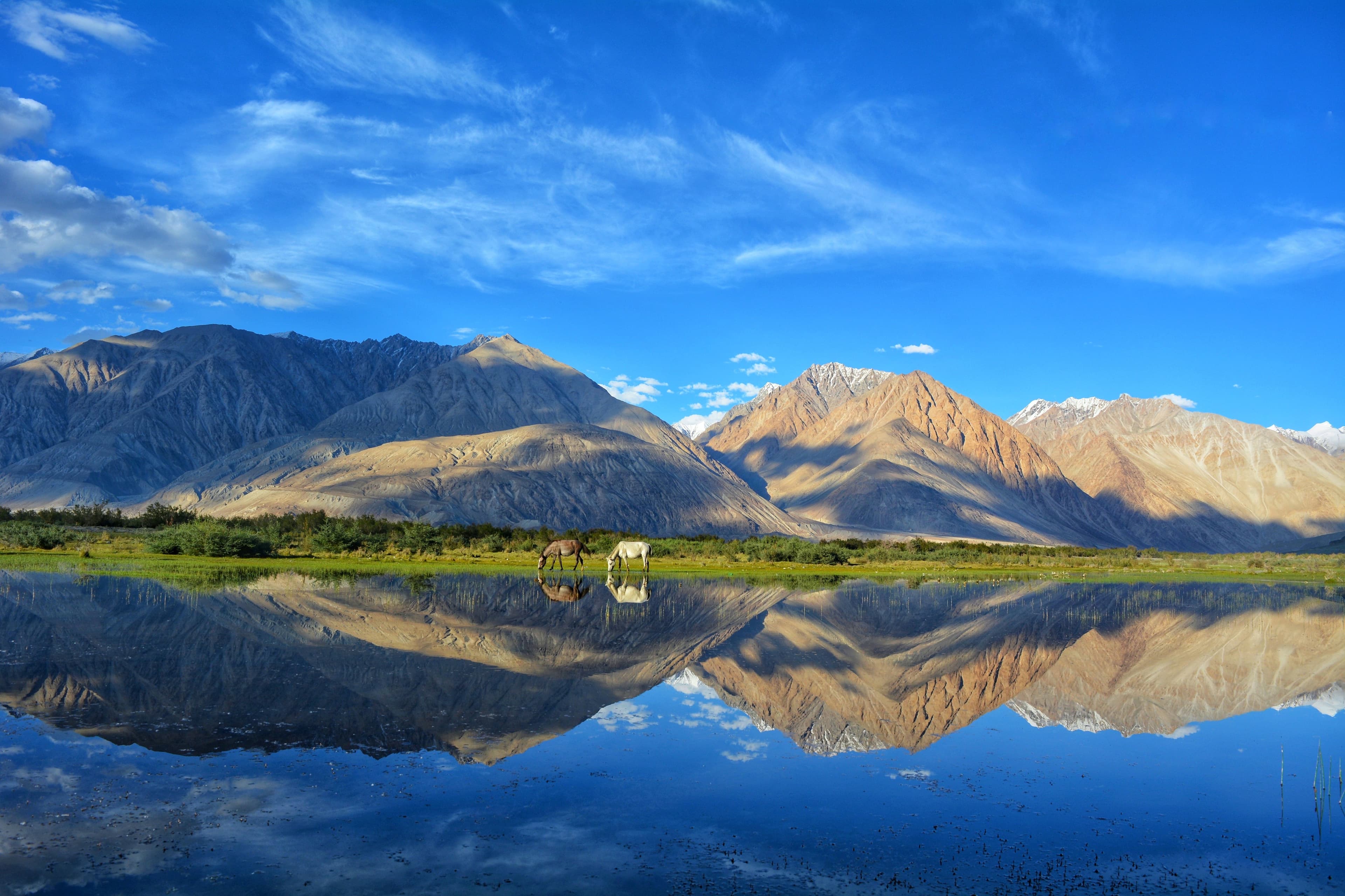 leh 2
